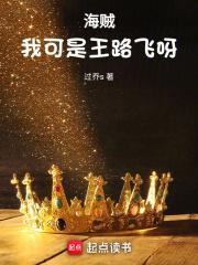 海贼我可是王路飞呀笔趣阁