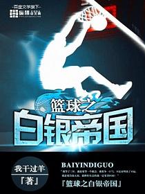 蓝球之白银吋代