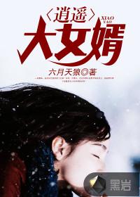 逍遥大女婿全文免费