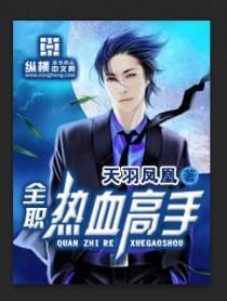 全职热血高手在线观看