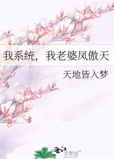 我老婆是凤傲天