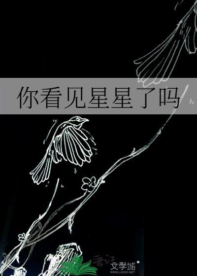 你看见星星了吗是什么歌