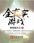 超真实的游戏