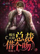 总裁从天而降全文免费