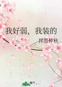 我装的 作者挥墨仲秋