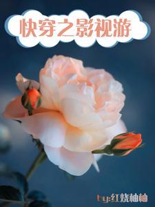 以影视为主的快穿文主攻
