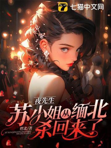 夜先生苏小姐从缅北杀回来了免费阅读