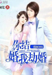 你结婚我劫婚全文txt