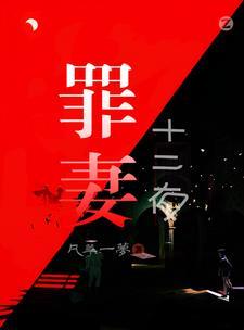 电视剧十二夜