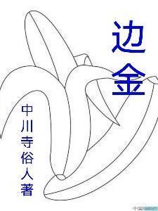 边金宝