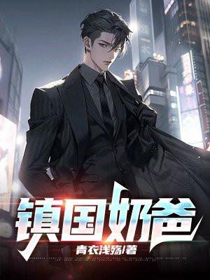 镇国奶爸神医