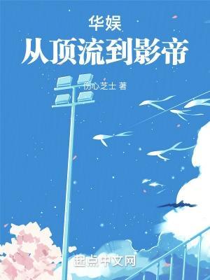 华娱之从流量到