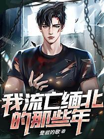 流在缅北的血全文免费阅读