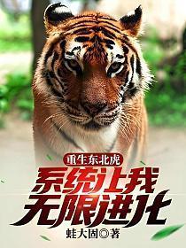 系统让我无限进化