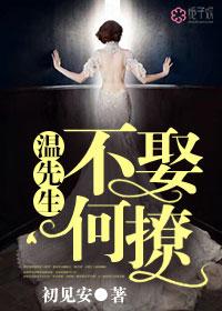 温先生的宠妻日常免费阅读