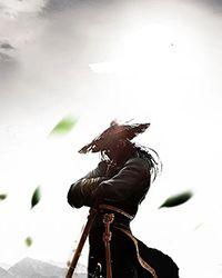 不死武帝洪宇