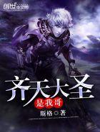 齐天大圣就是我