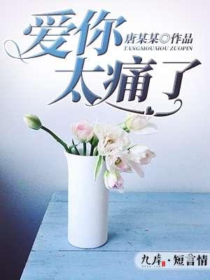爱你太痛