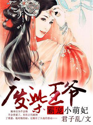 废柴王爷霸宠小萌妃 君子乱
