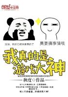 我真的只是打游戏