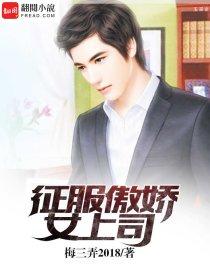 我的傲娇上司双
