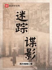 迷踪谍影完结了吗