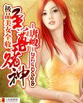 至尊赌神王杰