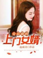 龙婿叶凡七八