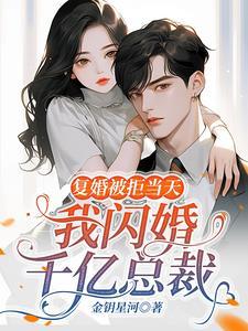 复婚之战总裁