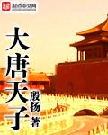 大唐天子作者