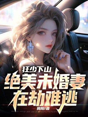 神医下山绝美未婚妻