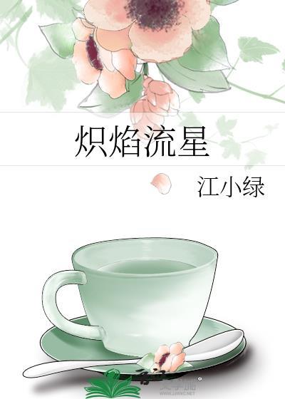 炽焰流星无弹窗全文阅读