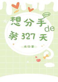 想分手的第327天作者衣沄