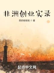 非洲创业实录114中文