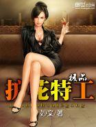 极品护花保镖全文