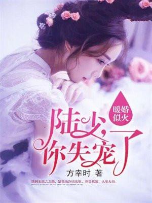 暖婚密爱陆少的心尖宠全文免费阅读